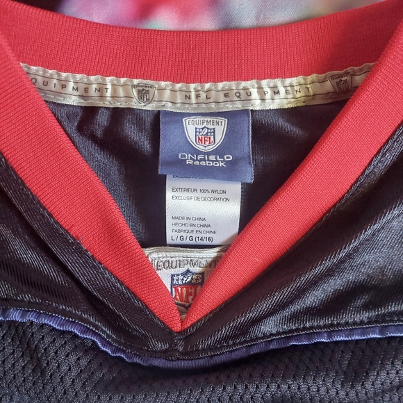 Terrell Owens #81 Buffalo Bills Jersey - Picture 5 of 7